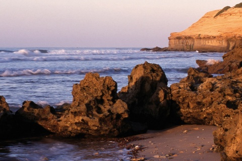 Marismas de Barbate wetlands