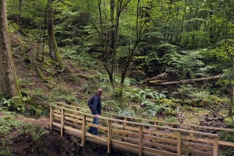 Parc naturel Señorío de Bértiz