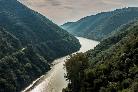 Parque Natural de la Sierra de Hornachuelos