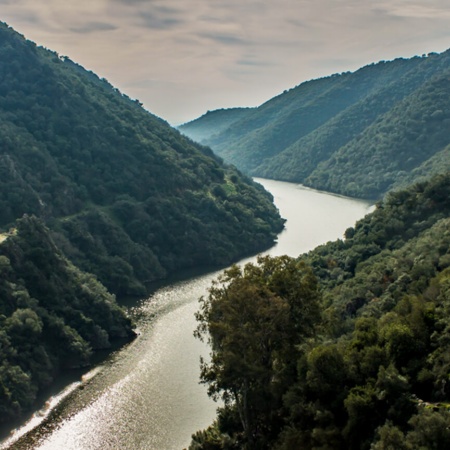 Obszar chronionego krajobrazu Sierra de Hornachuelos