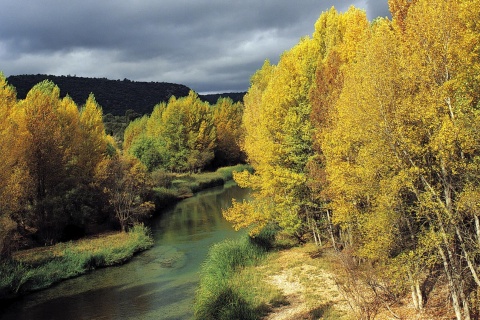  Parque Natural del Alto Tajo