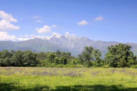 Sierra di Gredos, valle di Iruelas, Ávila