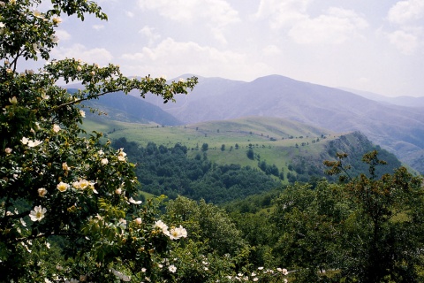 Sierra Cameros in Sierra Cebollera Natural Park