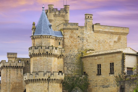 Olite Castle in Navarre