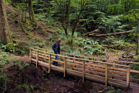 Jardins du parc naturel Señorío de Bértiz