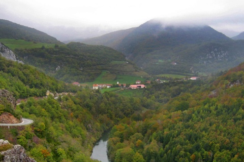 Selva de Irati Navarra