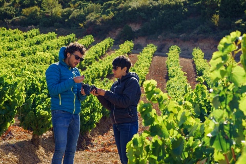 Des touristes visitant un vignoble dans la Baja Montaña, Navarre