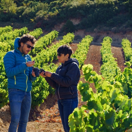 Turisti che visitano un vigneto nella zona della Baja Montaña, Navarra