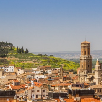 View of the cathedral of Santa María de Tudela, Navarre