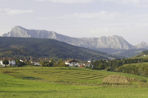 Panorâmica de Elorrio (Biscaia, País Basco)