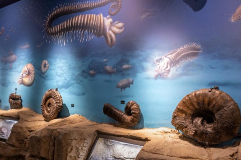 Musée Nautilus à Mutriku, Gipuzkoa, Pays basque