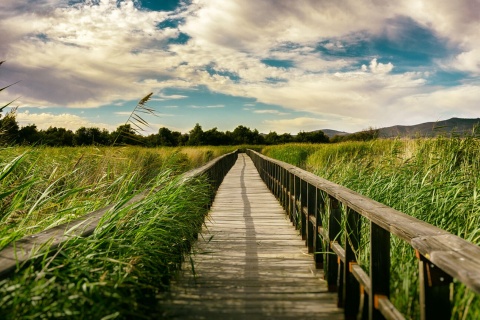 Parco Nazionale delle Tablas de Daimiel