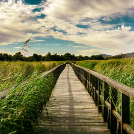 Tablas de Daimiel National Park