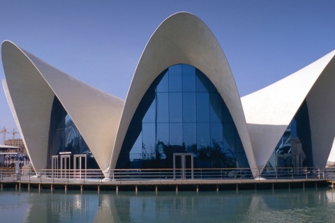 Oceanogràfic der Ciudad de las Artes y las Ciencias