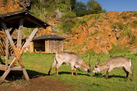 Parco della Natura di Cabárceno