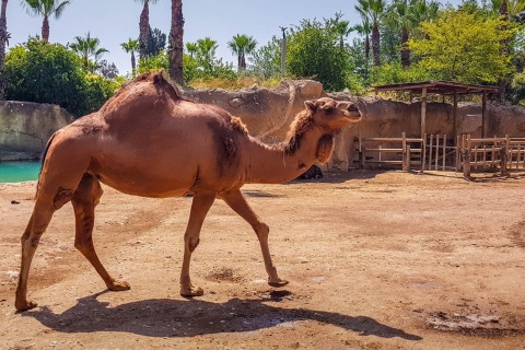 Terra Natura в Бенидорме