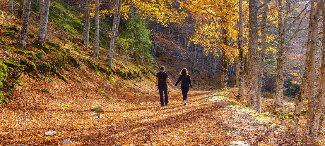 Un couple se promène dans le parc naturel de la Sierra de Cebollera, La Rioja