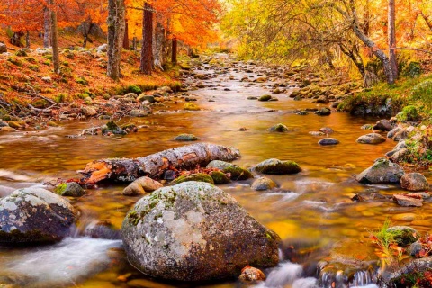 Parc naturel de Sierra Cebollera, La Rioja