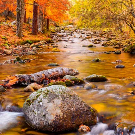 Parque Natural de Sierra Cebollera, La Rioja