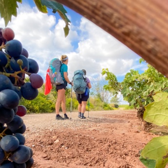 Pilgergruppe auf dem Jakobsweg nach Santiago de Compostela auf dem Weg durch La Rioja