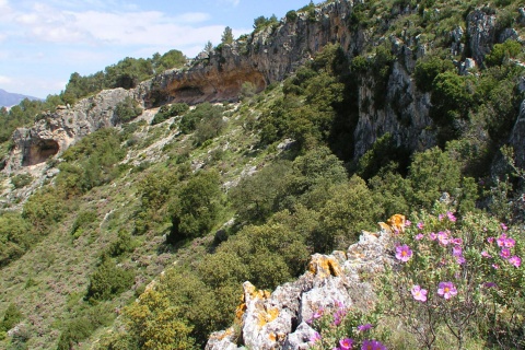 Widok na La Sarga (Abrics II). Alicante.