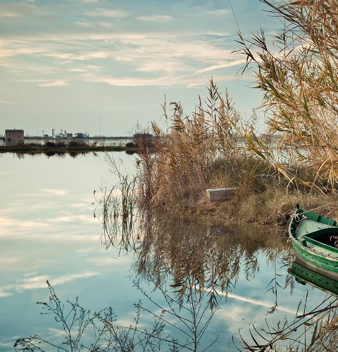 Vista de la Albufera de Valencia