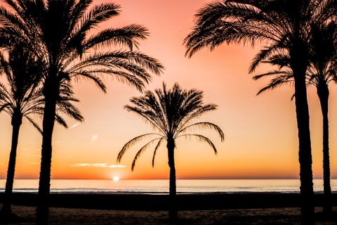 Il sole sorge sulla spiaggia di Cullera, C. Valenciana