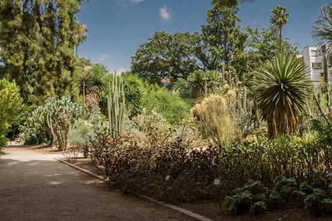 Jardin botanique de l