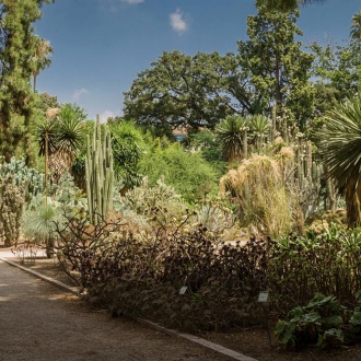 Jardin botanique de l