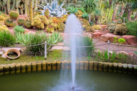 Jardín El Huerto del Cura