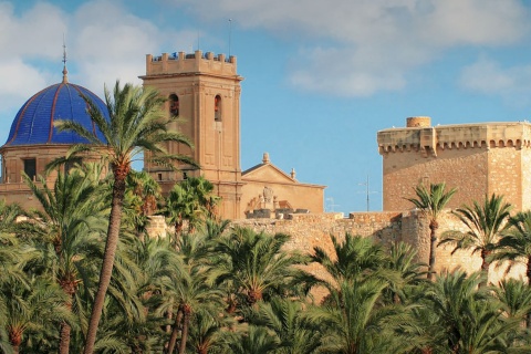 Gaj palmowy w Elche, z tyłu Bazylika Santa María. Alicante