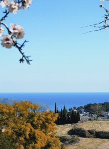 Tourist Info Teulada Moraira