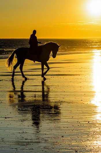 Turismo equestre a Mazagón, Huelva, Andalusia