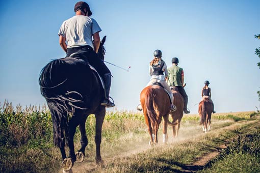 Le chemin de Compostelle à cheval