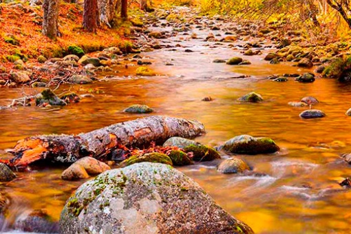 Naturpark Sierra Cebollera, La Rioja