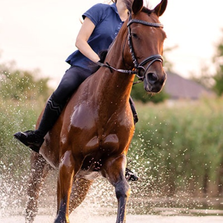 Mulher montando a cavalo