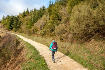  Kobieta na leśnej trasie szlaku pielgrzymkowego Camino de Santiago.