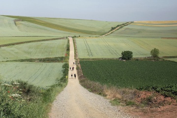  Landschaft auf dem Jakobsweg