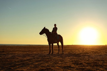 Turismo equestre