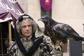  Espetáculo de cetraria em Tortosa (Tarragona, Catalunha) durante a Festa do Renaixement