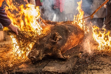 A “Matança Tradicional do Porco”, na Feira do Cozido de Lalín (Pontevedra, Galiza)