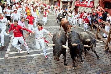 Gonitwa byków podczas Święta San Fermín w Pampelunie (Nawarra)