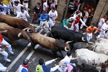 Corridas de touros das festas de São Firmino de Pamplona (Navarra)