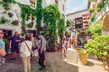 Patios de Cordoue