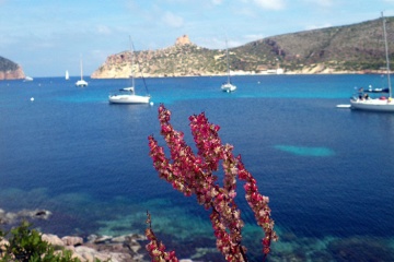 Cala di Ses Güies