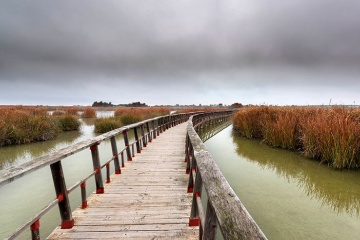 Passarelas sobre a lagoa de Tablas de Daimiel