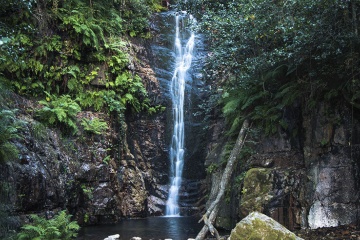 Cachoeira