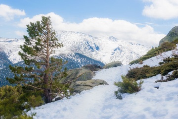 Des montagnes enneigées