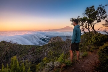 Widok na park pośród morza chmur ze szczytem Teide w tle