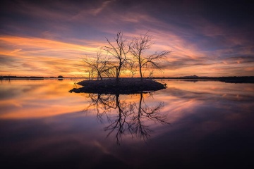 Árvore isolada no meio de uma lagoa no fim de tarde